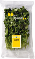 Coriandre fraîche