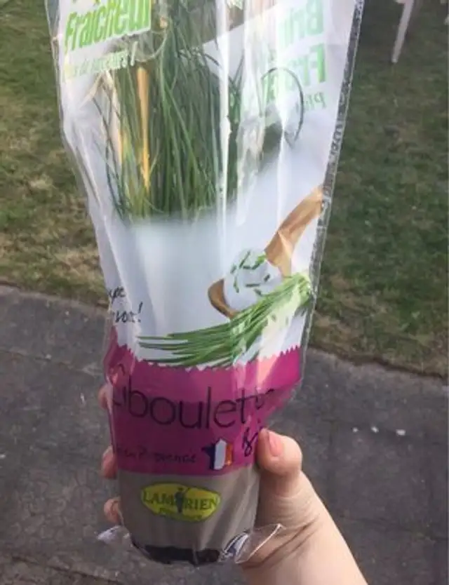 Ciboulette