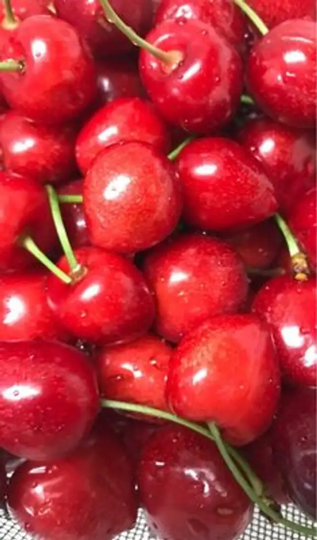 Cerises bigarreau