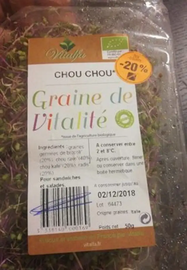 Graine de vitalité