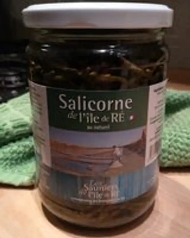 Salicorne de l'île de Ré au naturel