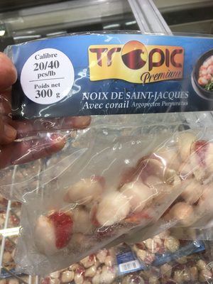 Noix de Saint-Jacques avec Corail crues et congelées