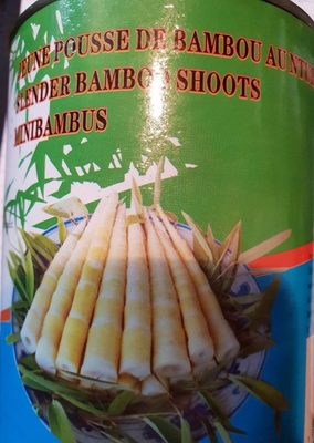 Jeune pousse de bambou au naturel