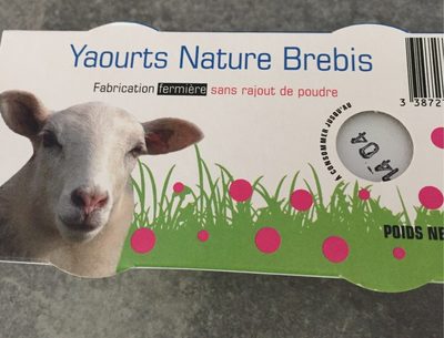 Yaourt Nature Brebis