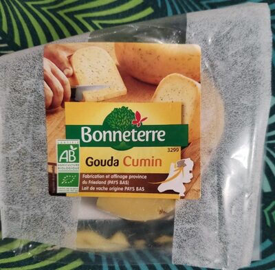 Gouda Cumin Fabriqué dans la province du Friesland