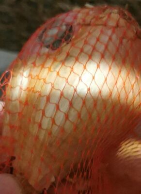 Échalotes front packaging