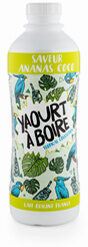 Yaourt à boire ananas coco