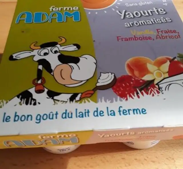 Yaourts aromatisés front packaging