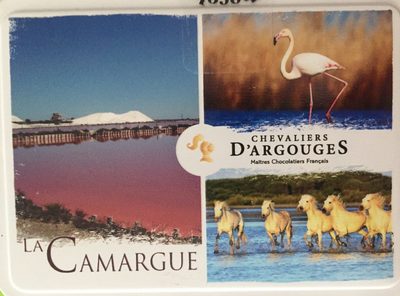 Chocolat Gianduja aux noisettes