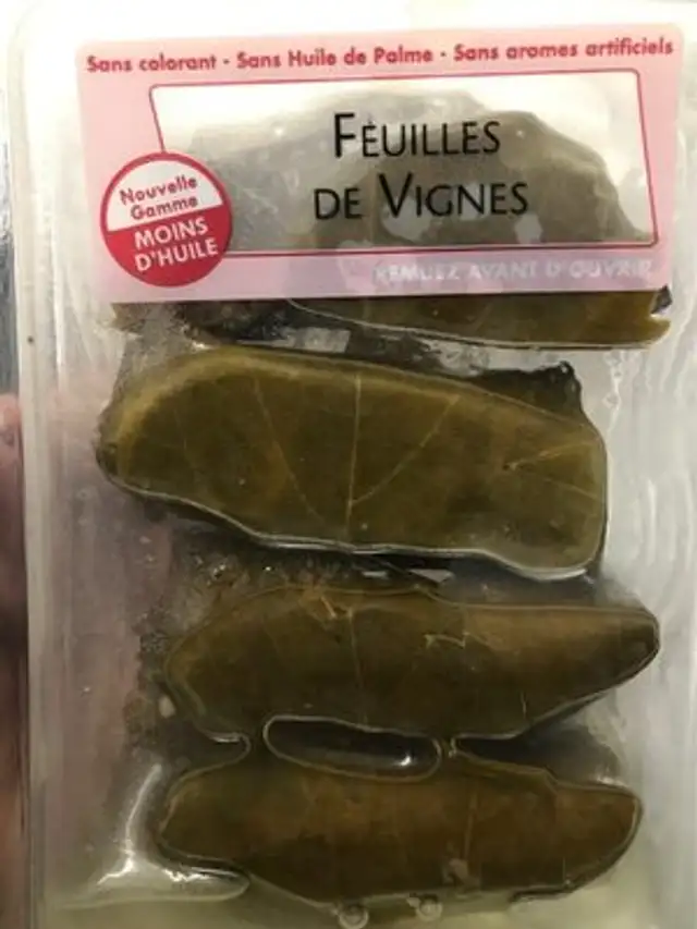 Feuilles de vignes