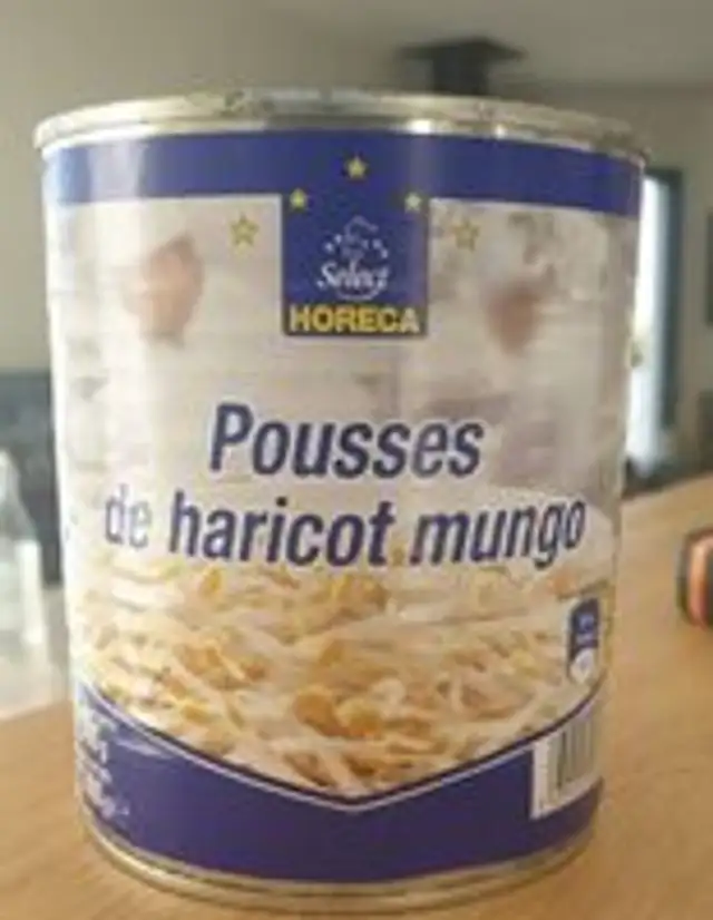 Pousse de haricot Mungo