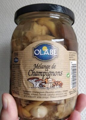 Mélange de champignons