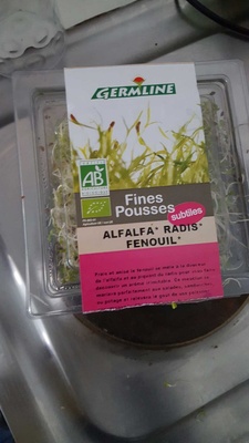 Fines pousses ALFALFA RADIS FENOUIL