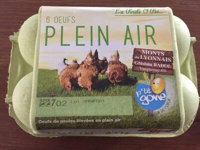 6 œufs plein air