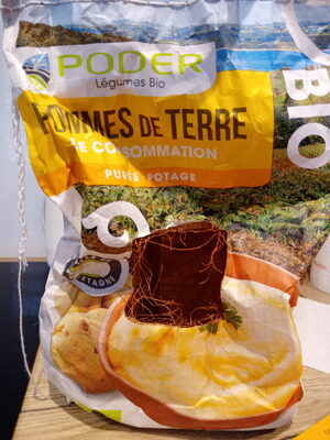 Pommes de terre de consommation