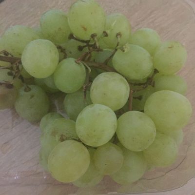 Raisin blanc biologique