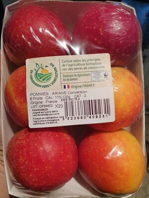 POMMES : ARIANE Conversion