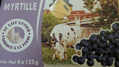 Yaourt à la Myrtille