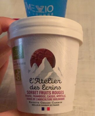 sorbet bio fruits rouges