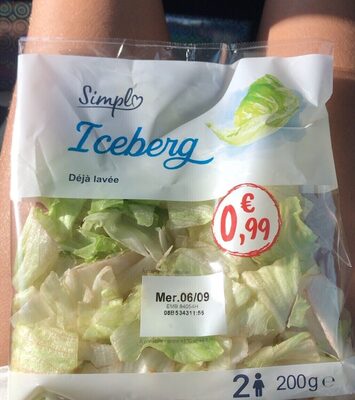 Iceberg