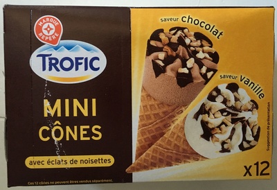 Mini cones choco vanille x12