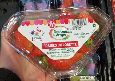 Fraise Ciflorette