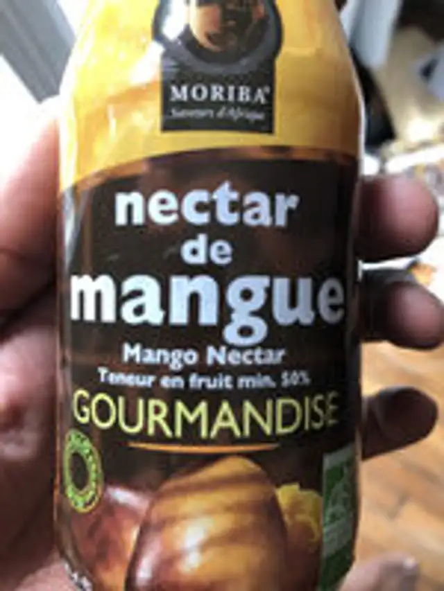 Nectar de Mangue