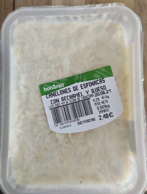 Canelones de espinacas con bechamel y queso