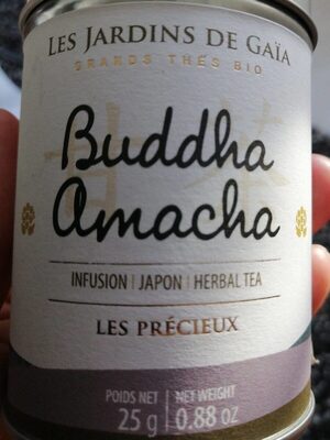 Buddha Amacha