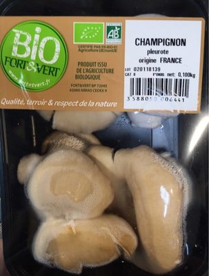 Champignon pleurote bio, France