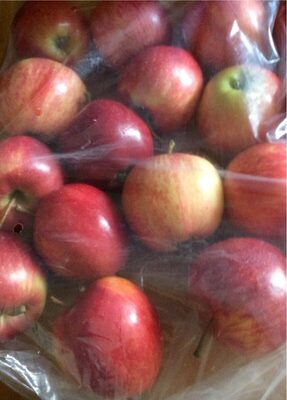 Pommes de table GALA