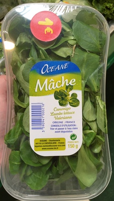 Mâche