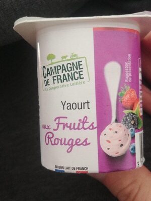 Yaourt aux fruits rouges