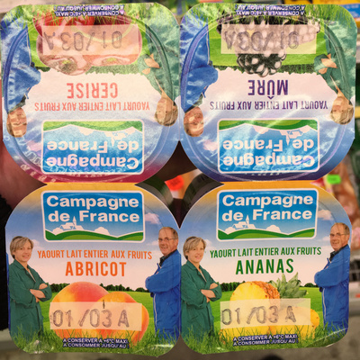 Yaourt lait entier aux fruits (abricot/cerise/mûre/ananas)