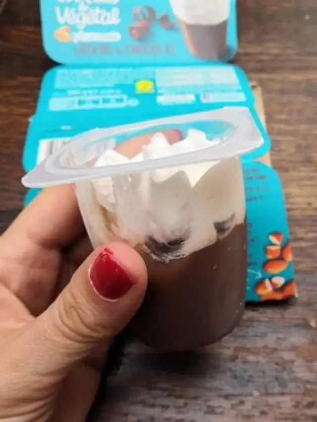 Liégeois au chocolat végétal Andros front packaging