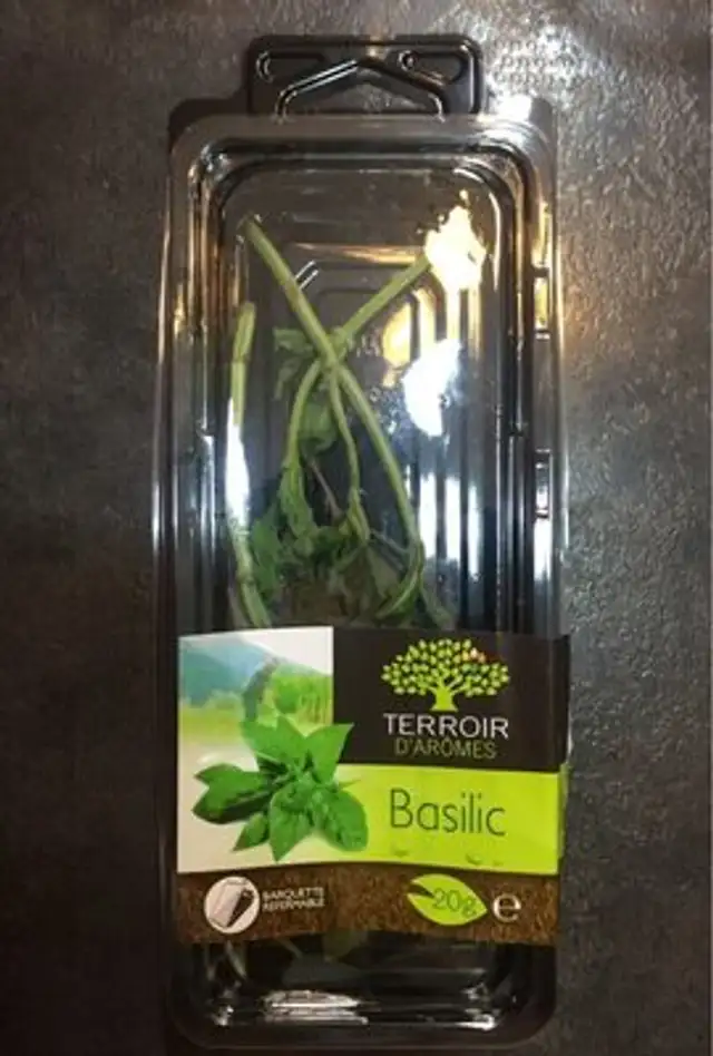 Basilic nutrition facts table