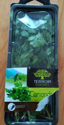 Coriandre