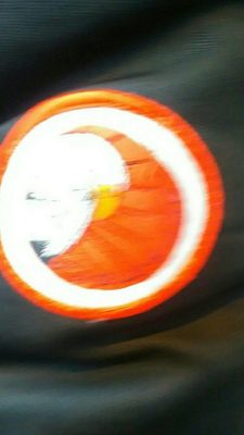 Pygargue à tête blanche