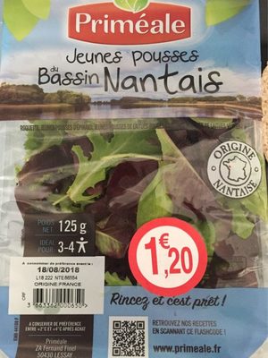 Jeunes pousses du bassin nantais