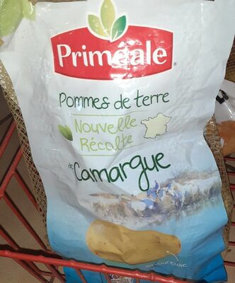 Pomme de terre