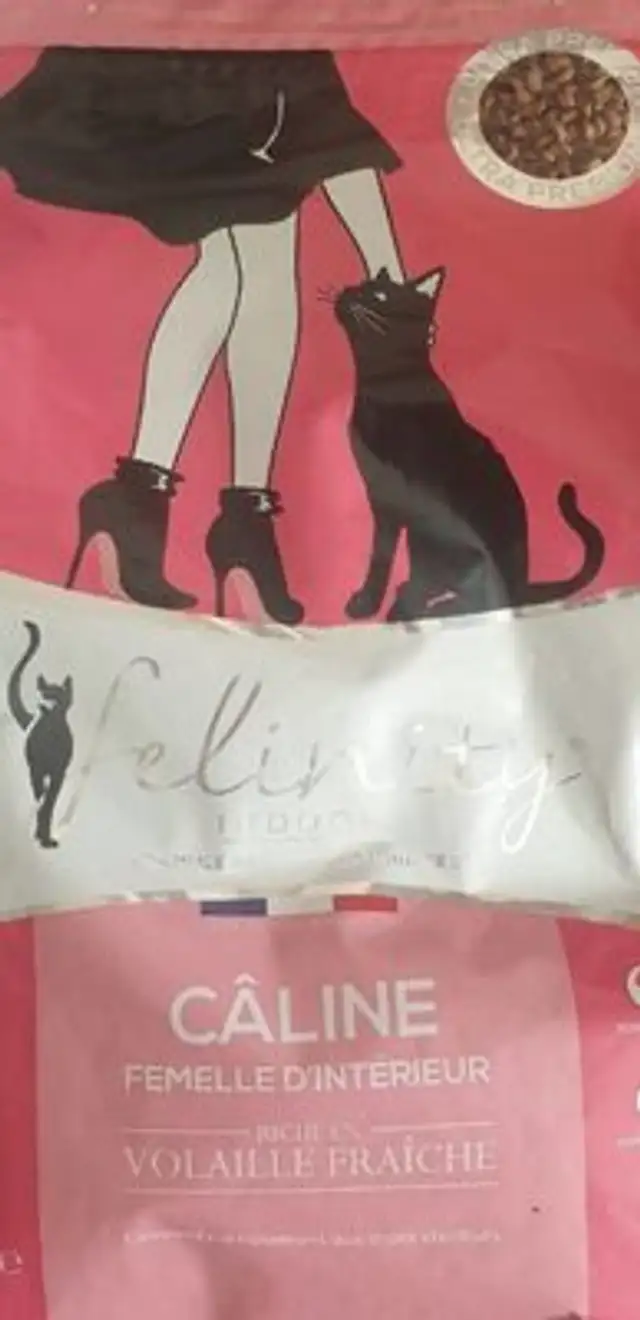 Felinity