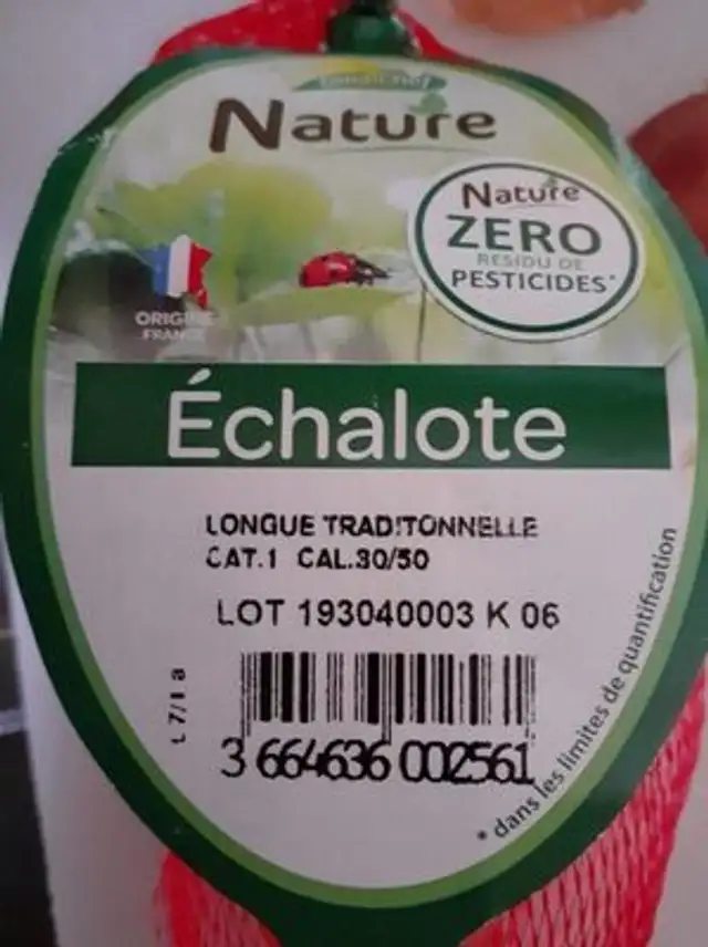 Echalote