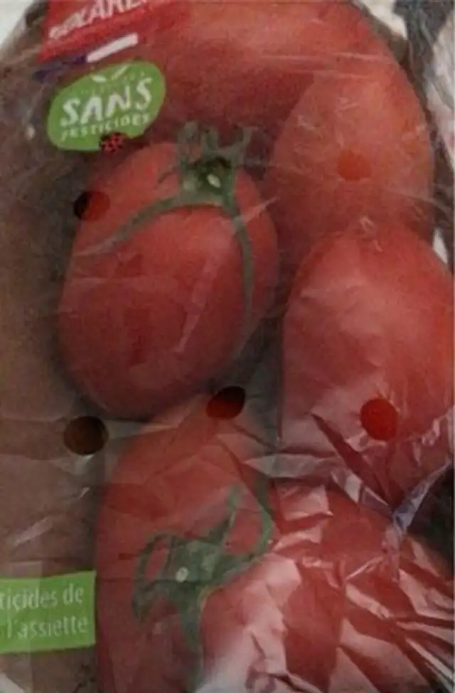 Tomates latines alongees