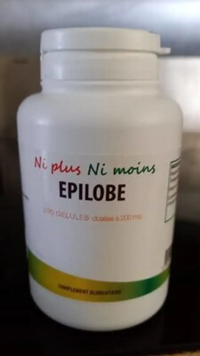 Epilobe