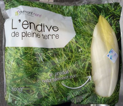 L'Endive de Pleine Terre