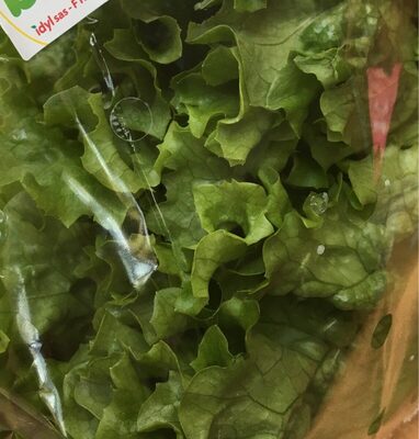 Laitue batavia blonde Bio front packaging