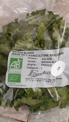 Salade Batavia Blonde