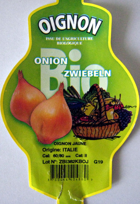 Oignon jaune bio Ferme de la Motte