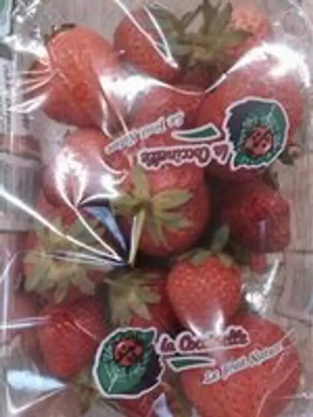 Fraise Barquette