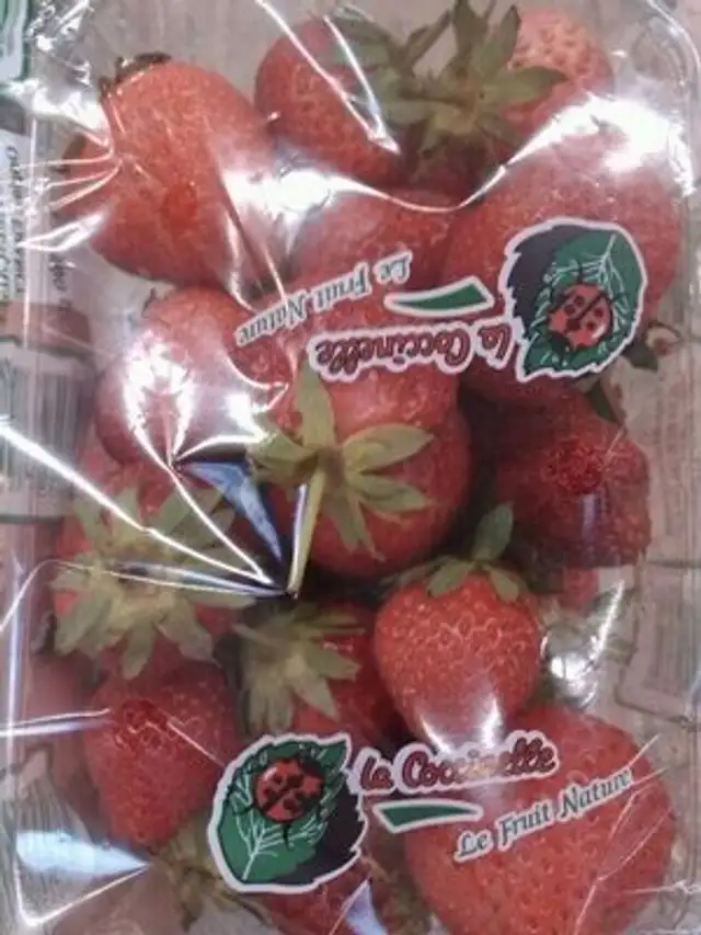 Fraise Barquette front packaging
